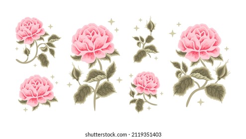 Set of vintage romantic pastel pink rose flower and leaf branch illustration elements for feminine logo, beauty label, floral garden party, clipart, wedding invitation decoration, love greeting cards