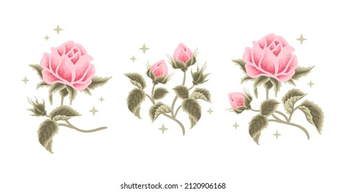 Set of vintage romantic pastel pink rose flower and leaf branch illustration elements for feminine logo, beauty label, floral garden party, clipart, wedding invitation decoration, love greeting cards
