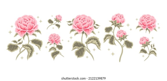 Set of vintage romantic pastel pink rose flower and leaf branch illustration elements for feminine logo, beauty label, floral garden party, clipart, wedding invitation decoration, love greeting cards
