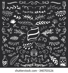 Set of vintage sketch elements. Vector decoration collection. Hand drawn flowers, leaves and page decor.