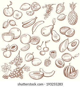 Set of Vintage Sketches Fruits in Freehand Style