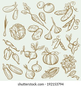 Set of Vintage Sketches Vegetables in Freehand Style