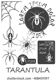 Set of vintage spider labels, badges and design elements. Vector illustration