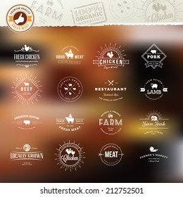 Set of vintage style elements for labels and badges for meat, fresh organic products, on the stylized background   