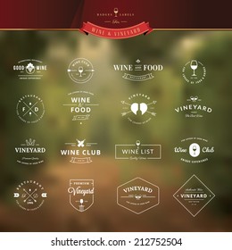 Set of vintage style elements for labels and badges for wine, vineyard, wine club and restaurant, on the vineyard background    