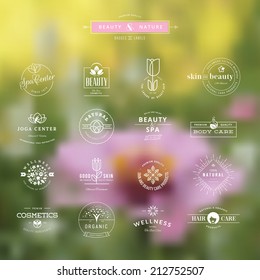 Set of vintage style elements for labels and badges for beauty, health care, cosmetics, spa and wellness, on the nature background   