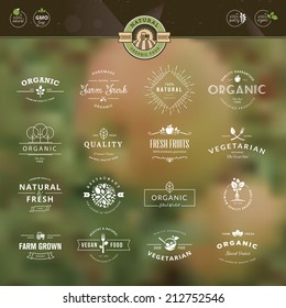 Set of vintage style elements for labels and badges for organic food and drink, on the nature background    