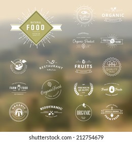 Set of vintage style elements for labels and badges for natural food and drink, organic products, biodynamic agriculture, on the nature background    