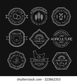 Set of vintage style elements for labels and badges for natural organic products, agriculture. Agriculture and farming logos in linear style.
