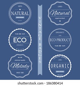 Set of vintage styled design Hipster logo icons. Corporate website design.