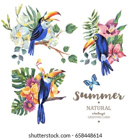 Set of vintage summer vector toucan, butterflies, exotic flowers and leaves. Natural floral illustration. 