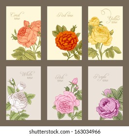 Set of vintage vector vertical label with flowering garden roses. Pink, white, yellow, purple, red, coral rose.