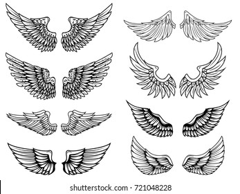 Set Vintage Vector Wings Design Elements Stock Vector (Royalty Free ...