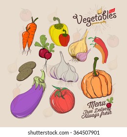 Set of Vintage vegetables collection, color hand-drawn illustration.