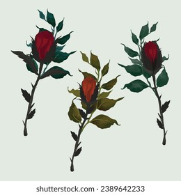 Rosebud on stem with leaves, romantic flower on transparent background  15937802 Vector Art at Vecteezy