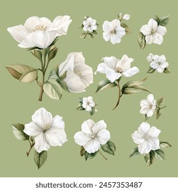 Set of Vintage White Flower Watercolor Clipart