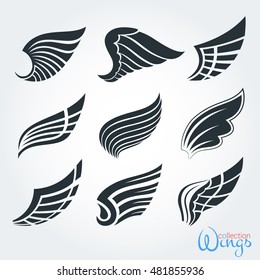 Set vintage wings for design projects. The elements and logo templates, stickers, icons, tattoos. The feathers of birds and abstract code in the form of the wing. Isolated objects.
