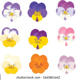 Conjunto de ilustraciones vectoriales de viola sobre fondo blanco