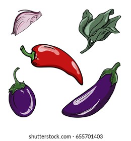 Set of violet eggplants, fresh sage, piece of red onion and chili on white background. Hand drawn vector illustration.