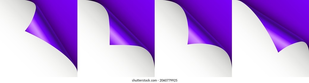 Conjunto de rizos de papel violeta. Esquina de página curvada con sombra. Hoja de papel en blanco. Lámina resplandeciente y colorida. Elemento de diseño para publicidad y promoción. Ilustración vectorial.