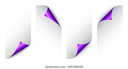 Conjunto de rizos de papel violeta. Esquina de página curvada con sombra. Hoja de papel en blanco. Lámina resplandeciente y colorida. Elemento de diseño para publicidad y promoción. Ilustración vectorial.