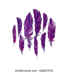 Set of violet - purple vector feathers on white background