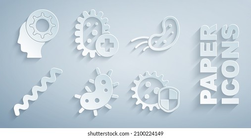 Set Virus, Shield protecting from virus, Positive and Human and icon. Vector