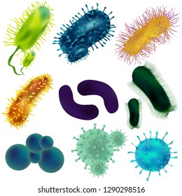 Set of viruses and bacteria isolated against a blom background. Viruses and bacteria under the microscope. Undead cellular infectious agent