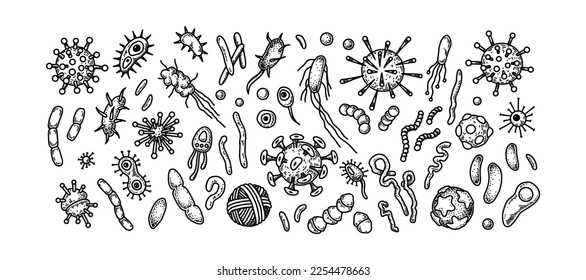 Set of viruses, bacteria and other microorganisms. Scientific vector illustration in sketch style