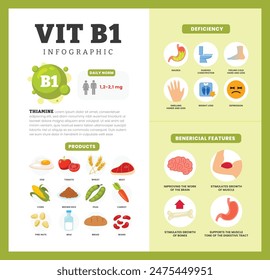 Conjunto de vitamina B2 Diseño de póster de infografía etiquetado Beneficio, deficiencia y fuente nutricional dietética orgánica productos, nutrición orgánica, alimentos que contienen arvejas, frijol, trigo, huevo, tomate, leche, maíz.