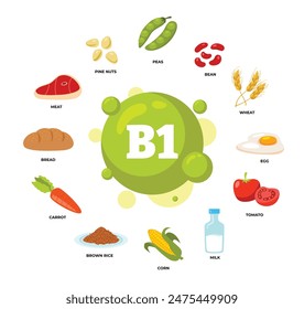 Conjunto de productos nutricionales orgánicos dietéticos de fuente vitamina B1, nutrición orgánica, alimentos que contienen guisantes, frijol, trigo, huevo, tomate, leche, maíz, arroz integral, zanahoria, pan, carne, piñones