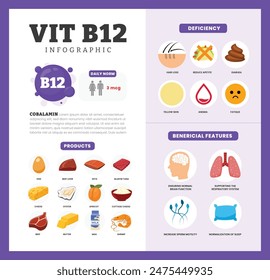 Set of vitamin B12 Infographic poster design labeled Benefit, deficiency and source dietetic organic nutrition products, Organic nutrition, food containing egg, beef liver, cheese, milk, apricot