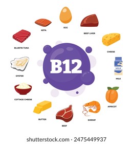 Set of vitamin B12 source dietetic organic nutrition products, Organic nutrition, food containing egg, beef liver, cheese, milk, apricot, shrimp, beef, butter, cheese, oyster, tuna, keta.