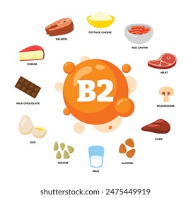 Set of vitamin B2 source dietetic organic nutrition products, Organic nutrition, food containing cottage cheese, caviar, meat, mushroom, liver, almond, milk, sesame, egg, chocolate,salmon.