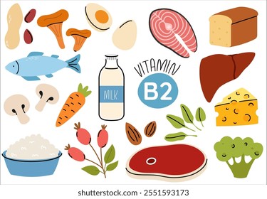 Set of vitamin B2 source dietetic products. Organic nutrition. Eggs, salmon, rose hip, cottage cheese, meat, mushroom, liver, almond, milk
