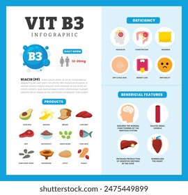 Conjunto de vitamina B3 Diseño de póster de infografía etiquetado Beneficio, deficiencia y fuente nutricional dietética orgánica productos, nutrición orgánica, alimentos que contienen pan, hígado, carne de res, hongos, cacahuete, atún