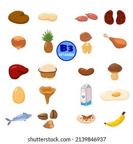 Set of Vitamin B3 origin natural sources. Healthy diary rich food containing niacin, avocado, mushrooms, nuts, fish, liver, banana, kidneys. Organic diet products, natural nutrition collection. Vector