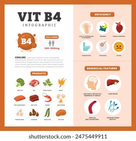 Set of vitamin B4 Infographic poster design labeled Benefit, deficiency and source dietetic organic nutrition products, Organic nutrition, food containing potato, wheat, salmon, shrimp, beef liver