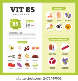 Set of vitamin B5 Infographic poster design labeled Benefit, deficiency and source dietetic organic nutrition products, Organic nutrition, food containing avocado, huzelnut, wheat, egg yolk.