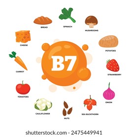 Conjunto de productos nutricionales orgánicos dietéticos de fuente vitamina B7, nutrición orgánica, alimentos que contienen espinacas, papa, hongos, fresa, cebolla, espino amarillo, nueces, coliflor, tomate, zanahoria, queso.