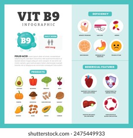 Set of vitamin B9 Infographic poster design labeled Benefit, deficiency and source dietetic organic nutrition products, Organic nutrition, food containing avocado, bell pepper, brocoli, beet, pumpkin.