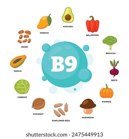 Set of vitamin B9 source dietetic organic nutrition products, Organic nutrition, food containing avocado, bell pepper, brocoli, beet, pumpkin, mushroom, cabbage, hazelnut, papaya, mango, nuts.