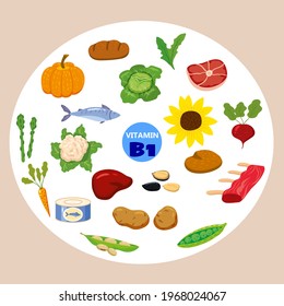 Set of Vitamin C origin natural sources. Healthy diary food, thiamin, fruits, greens, vegetables, fish, nuts, meat, bread. Organic diet products, natural nutrition collection. Vector flat