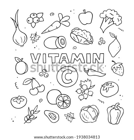 Set of vitamin C sources. Hand drawn illustration. Doodle natural food. Vector black and white outline.
