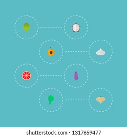 Set of vitamin icons flat style symbols with artichoke, apricot, garlic and other icons for your web mobile app logo design.