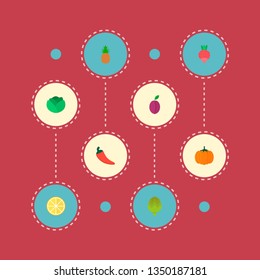 Set of vitamin icons flat style symbols with artichoke, lemon, plum and other icons for your web mobile app logo design.