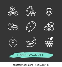 Set of vitamin icons line style symbols with lychee, banana, potato and other icons for your web mobile app logo design.
