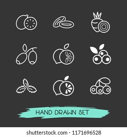 Set of vitamin icons line style symbols with lime, olive, lemon and other icons for your web mobile app logo design.