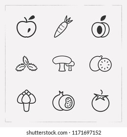 Set of vitamin icons line style symbols with mushroom, artichoke, apple and other icons for your web mobile app logo design.