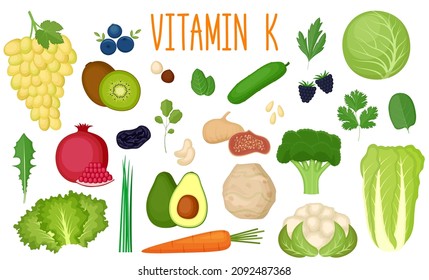 Set of vitamin K sources. Healthy food. Collection of vegetables, fruits, greens and nuts enriched vitamin C. Vector illustration